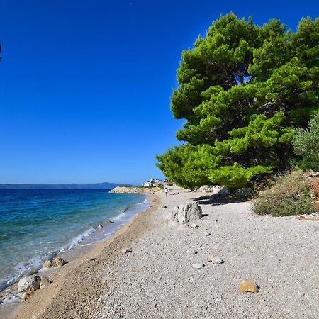 Apartman Luka Igrane Exteriér fotografie